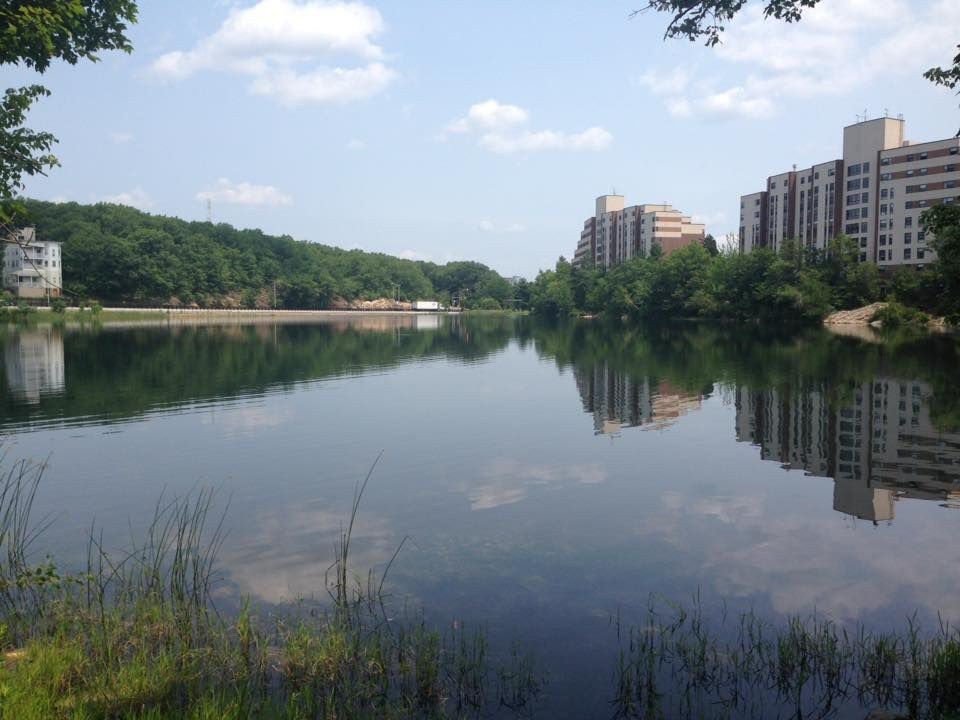 GoLocalWorcester 13YearOld Worcester Boy Dies After Being Pulled from Bell Pond