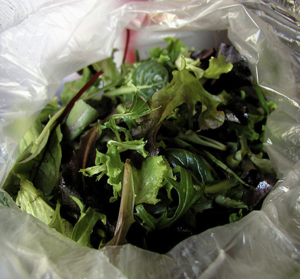 GoLocalWorcester How Safe Is It to Eat Bagged Salad Greens?