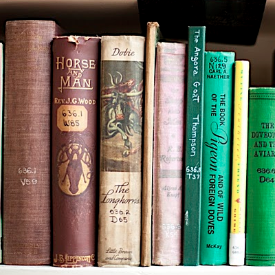 renting textbooks from amazon renting textbooks from amazon